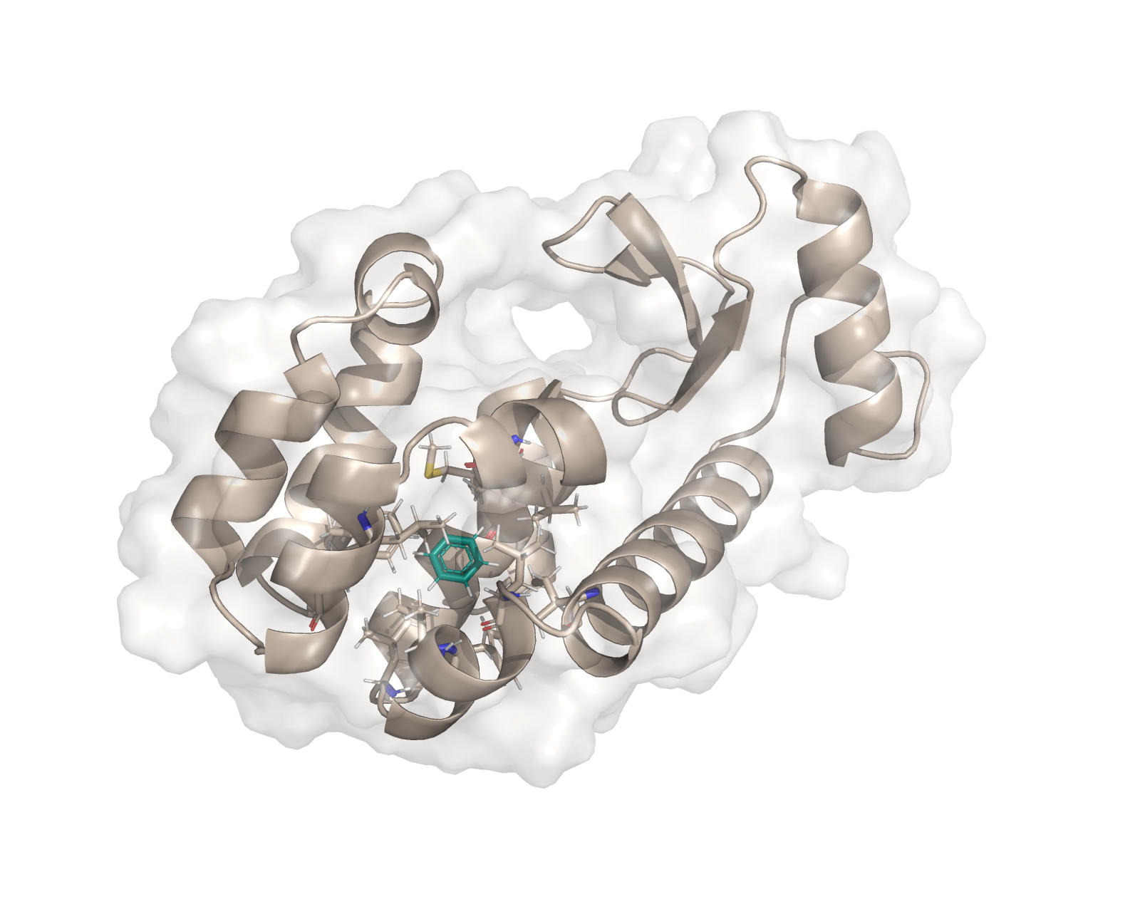 6217b8097f8c459288608f7d57b73862