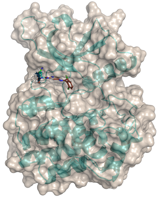 ffbb7441ef814cf78c8a195ec388552c